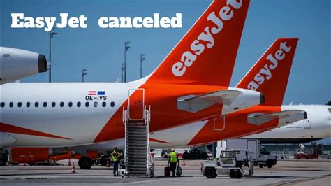 Flight canceled because of defecation incident